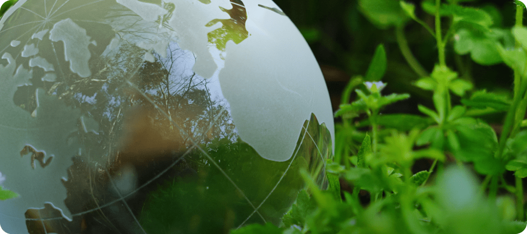 サスビナビリティ